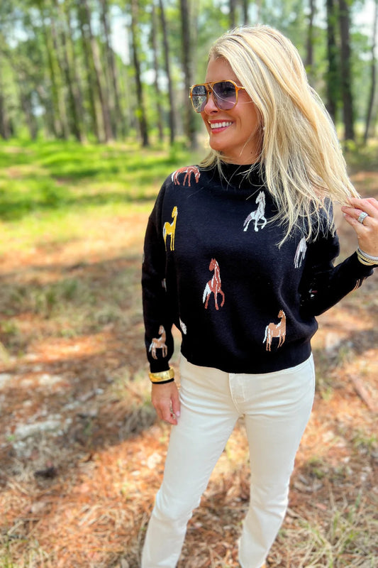 Brianna Horse sweater, black